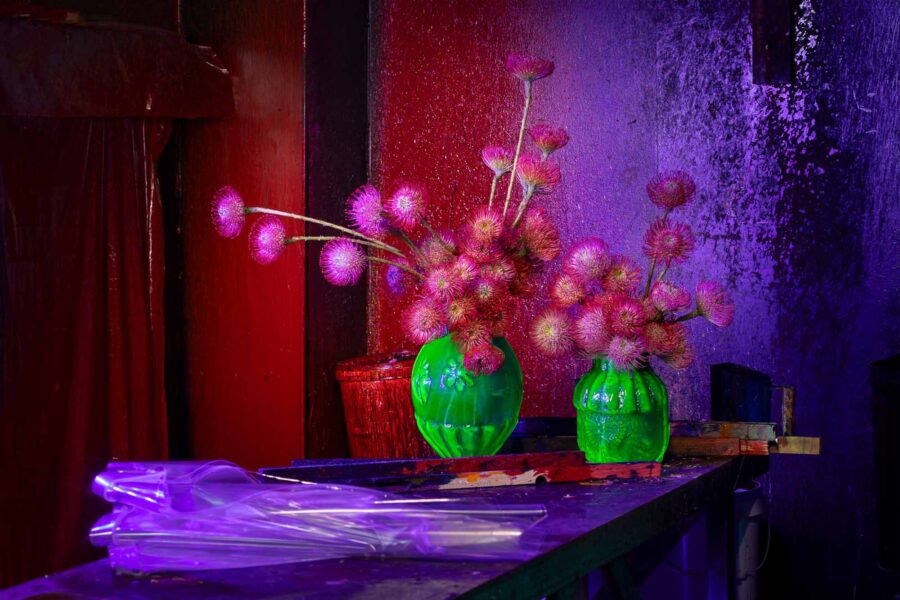 sklo, fotografie skla, fotograf Praha, design, fotograf produkty, robert bartolen, florist, kvetiny, floristika