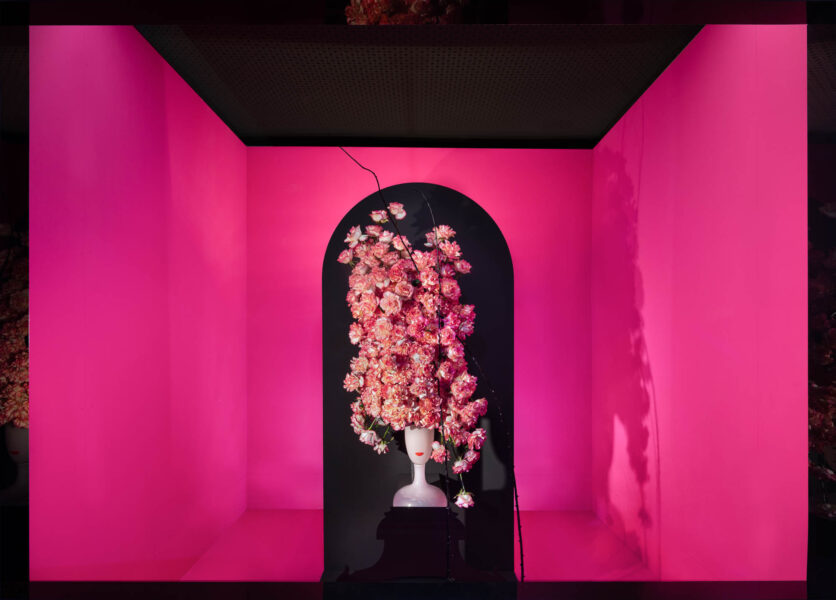 Flora Olomouc, Robert Bartolen, sklo, kvetiny, floristika, fotograf Praha, rostliny