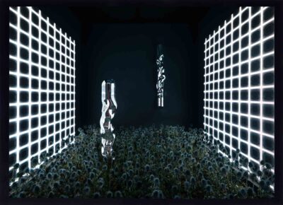 Flora Olomouc, Robert Bartolen, sklo, kvetiny, floristika, fotograf Praha, rostliny