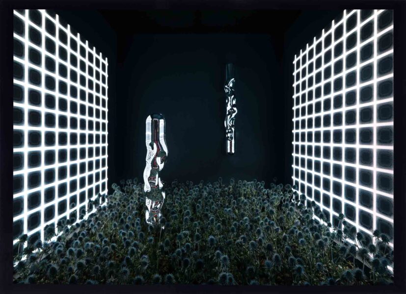 Flora Olomouc, Robert Bartolen, sklo, kvetiny, floristika, fotograf Praha, rostliny