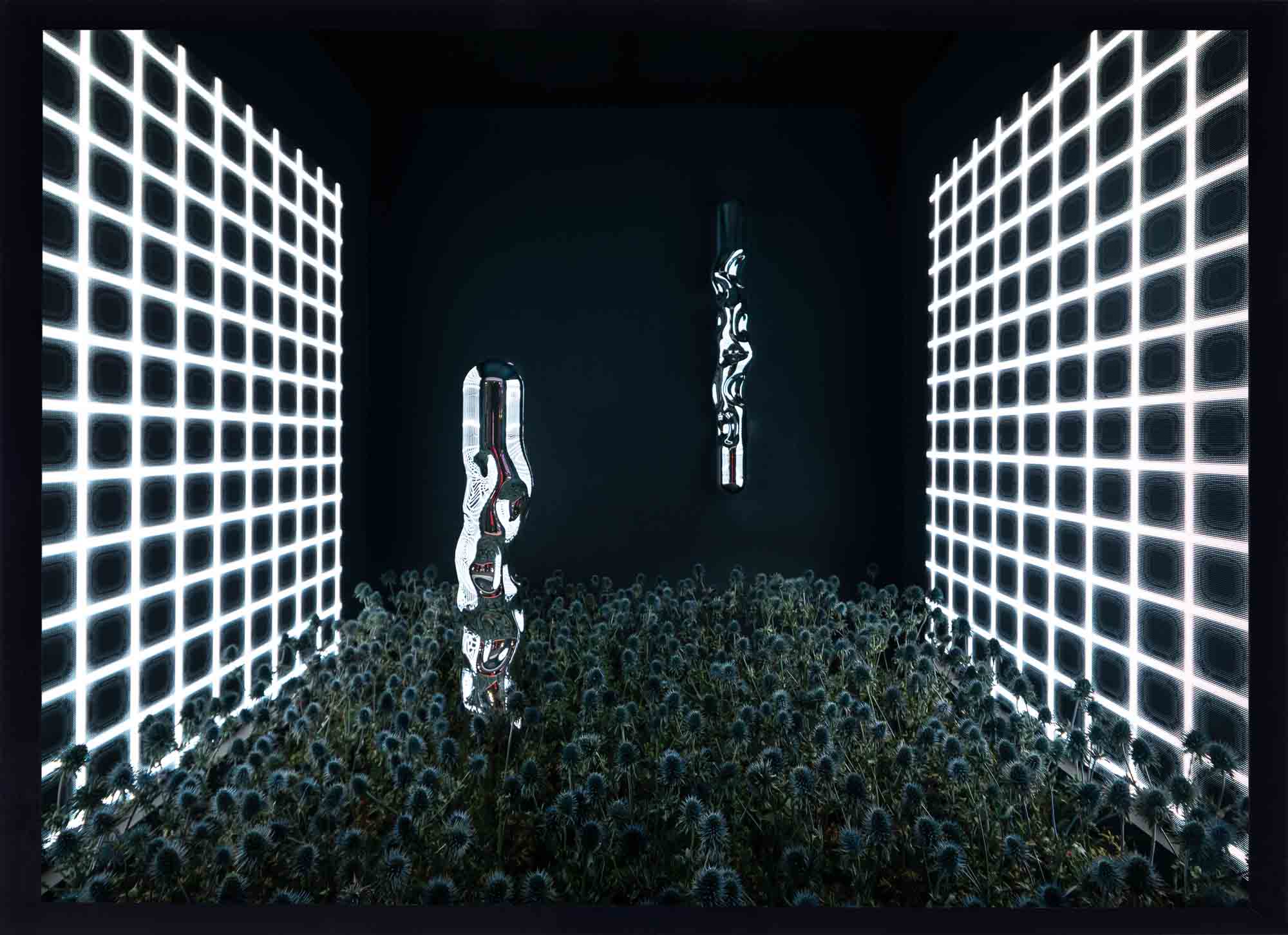 Flora Olomouc, Robert Bartolen, sklo, kvetiny, floristika, fotograf Praha, rostliny